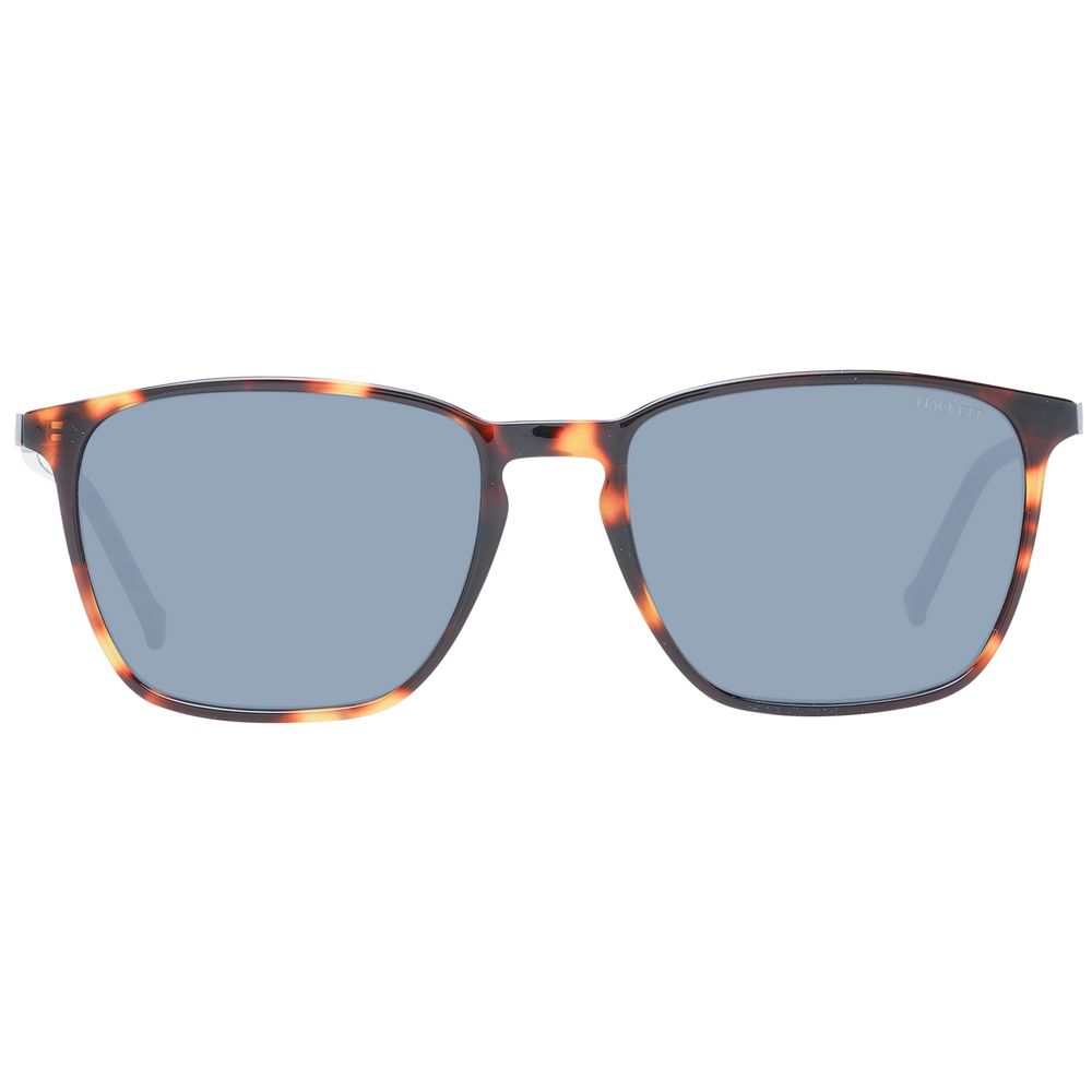 Hackett Brown Men Sunglasses