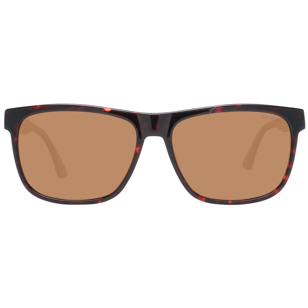 Hackett Brown Men Sunglasses